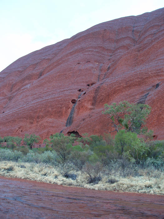 a rainy day at uluru, the rock glistening with drops of water