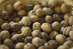 2799-wallnuts