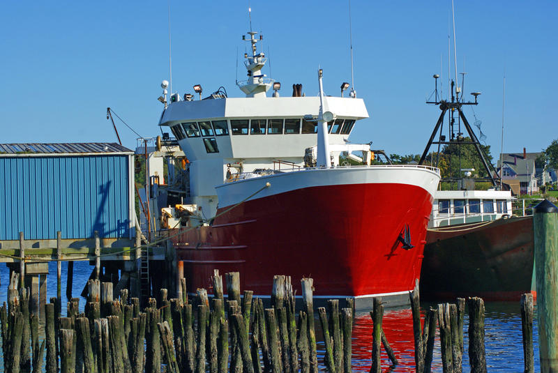 <p>Fishing Vessels In The Harbor</p>Sony A-330 DSLR