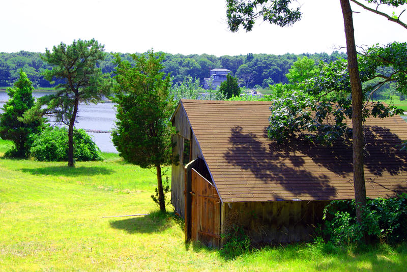 <p>Abandoned Shed</p>Sony A-330 DSLR