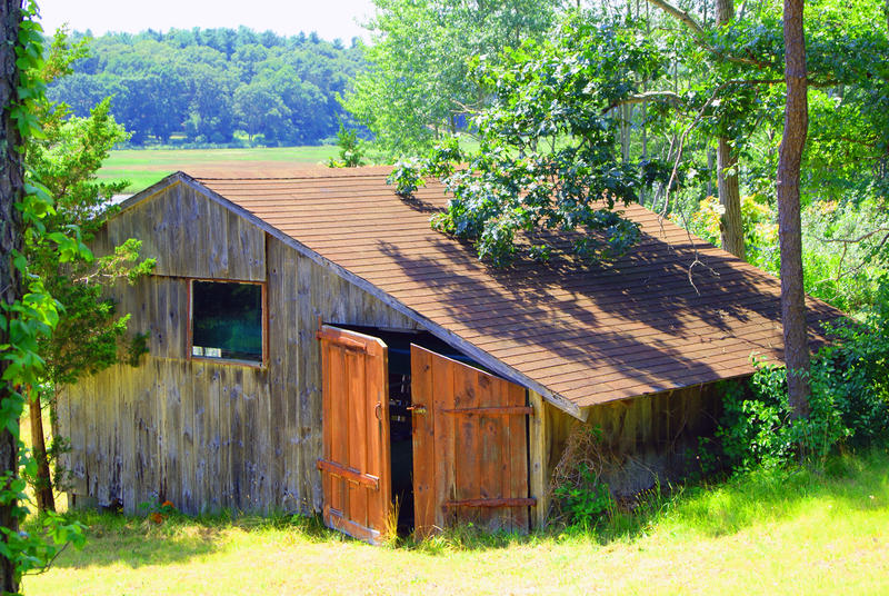 <p>Abandoned Shed 2</p>An abandoned shed