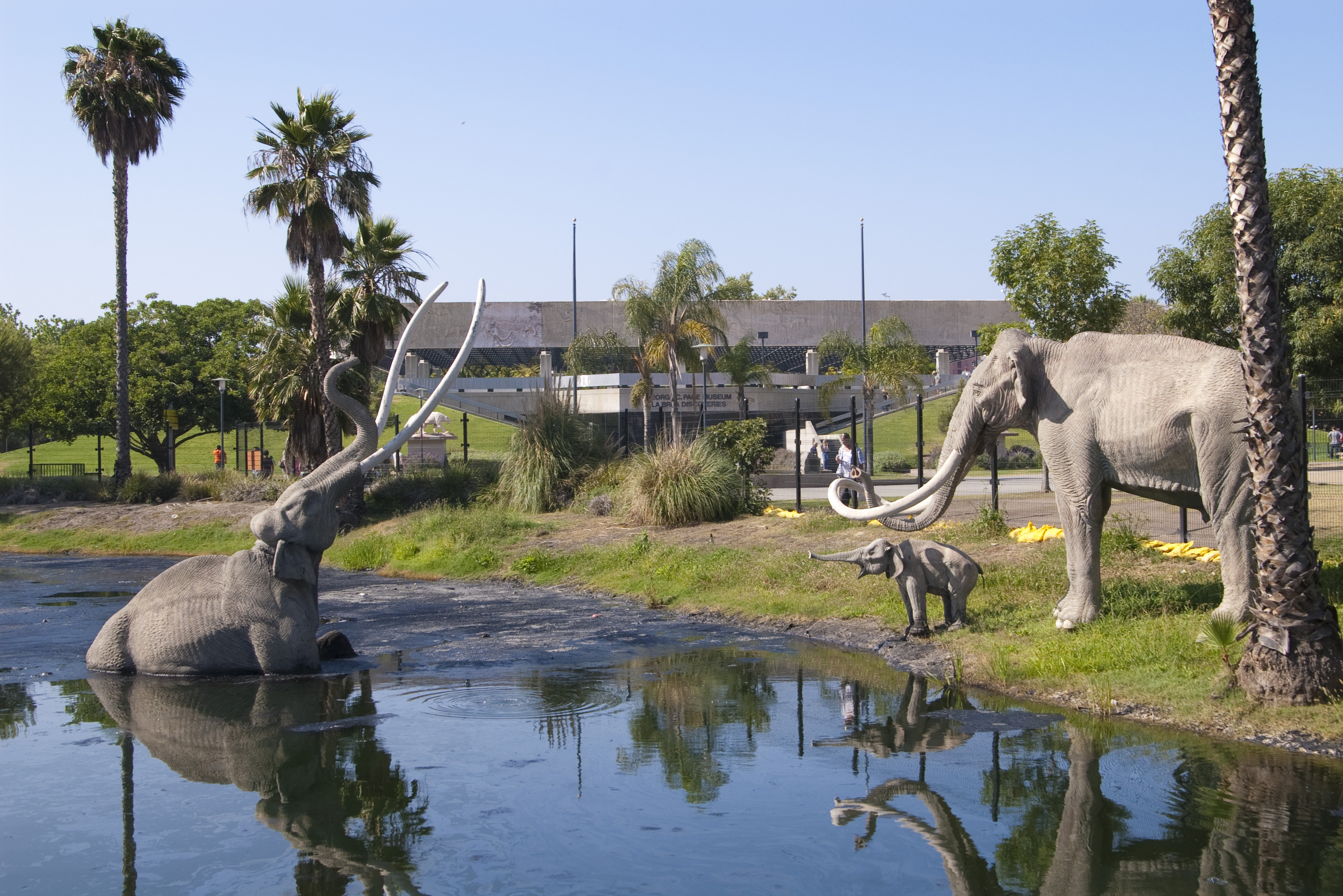 La_Brea_Tar_Pits.jpg