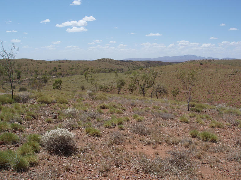 an arid dry landscape in australias northern territory