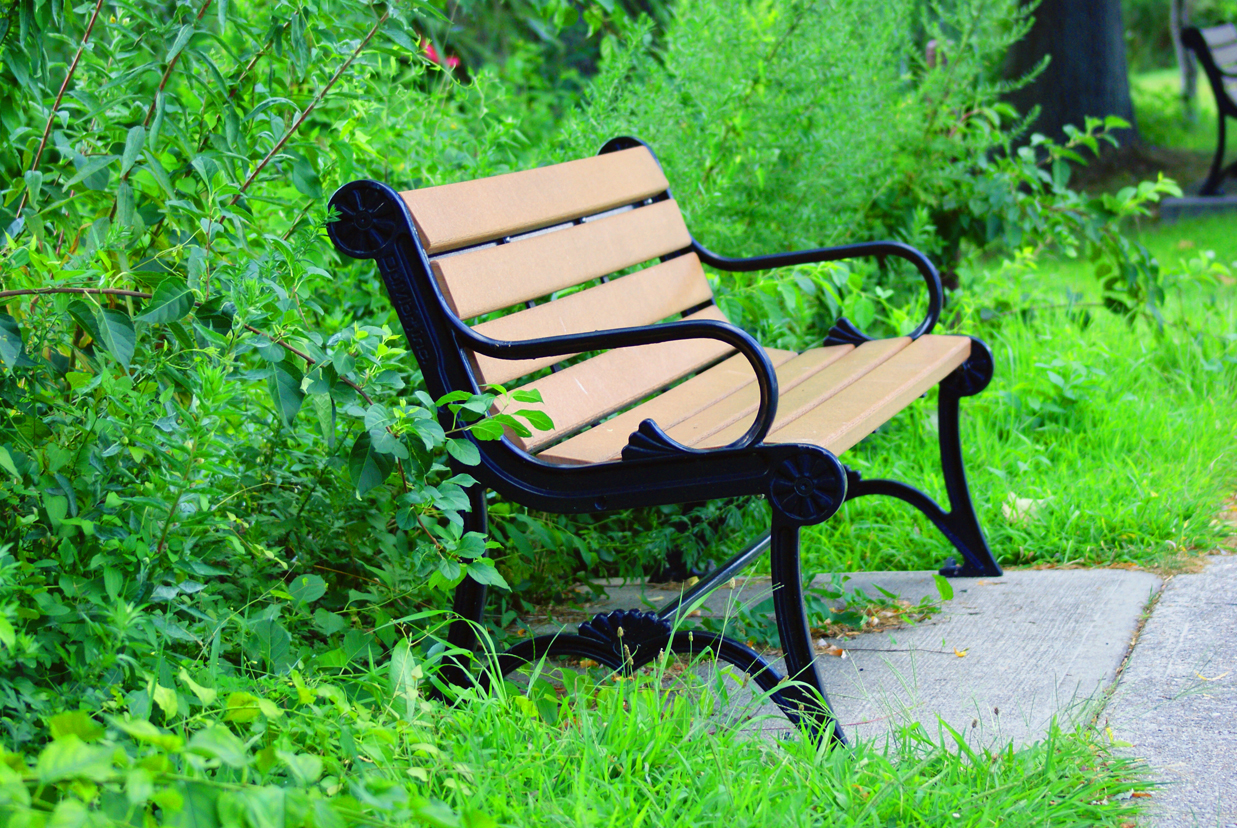 Free Stock Photo 3672-Park Bench II freeimageslive