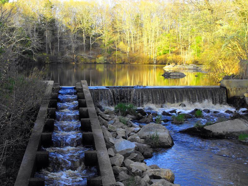 <p>Pond &amp;&nbsp;Waterfalls</p>Waterfall & A Calm Pond