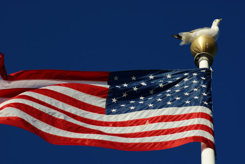 <p>Seagull On Flagpole I</p>Sony A-330 DSLR