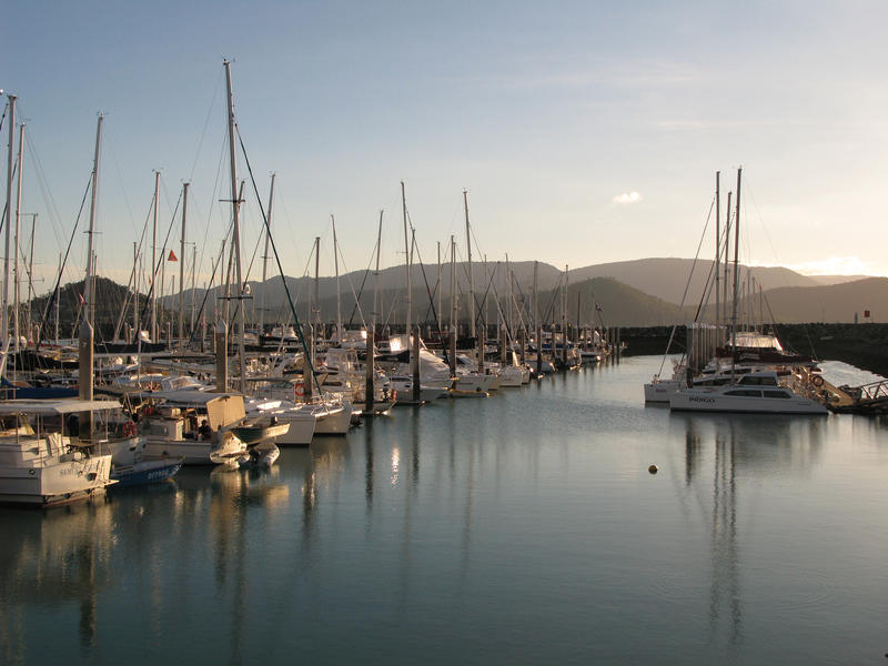 boats berthed at abel point marina