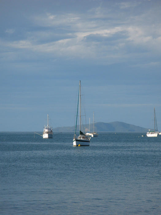 a view from airlie beach of the boats in pioneer bay