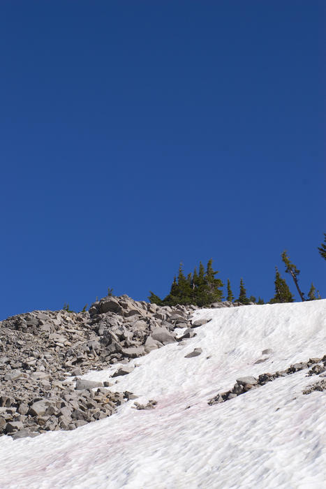 melting snow in an alpine spring