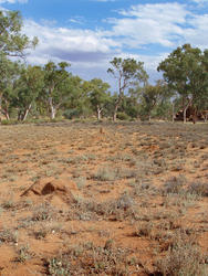 4111-arid australia landscape