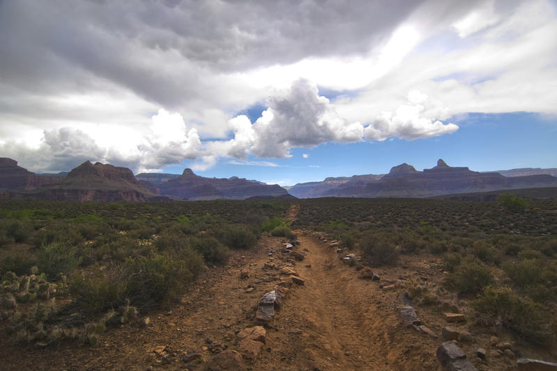 scene from a walking trail in the grand canyon national park