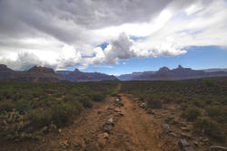 3136-arizona walking trail