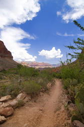 3138-arizona walking trail