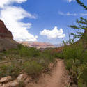 3138-arizona walking trail
