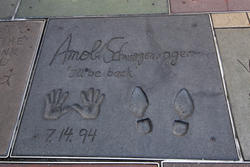 3047-arnold_schwarzenegger.jpg