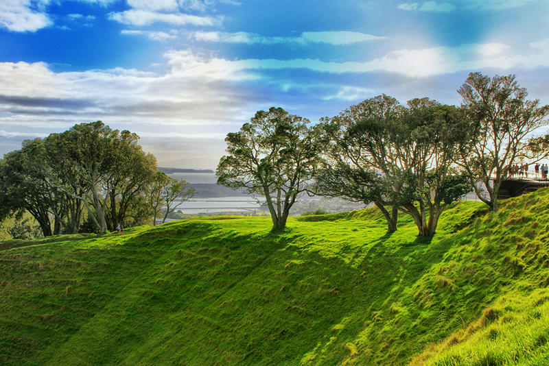 <p>Morning in Auckland, NZ Park</p>SONY DSC