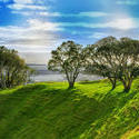 3968-auckland_morning_sun.jpg