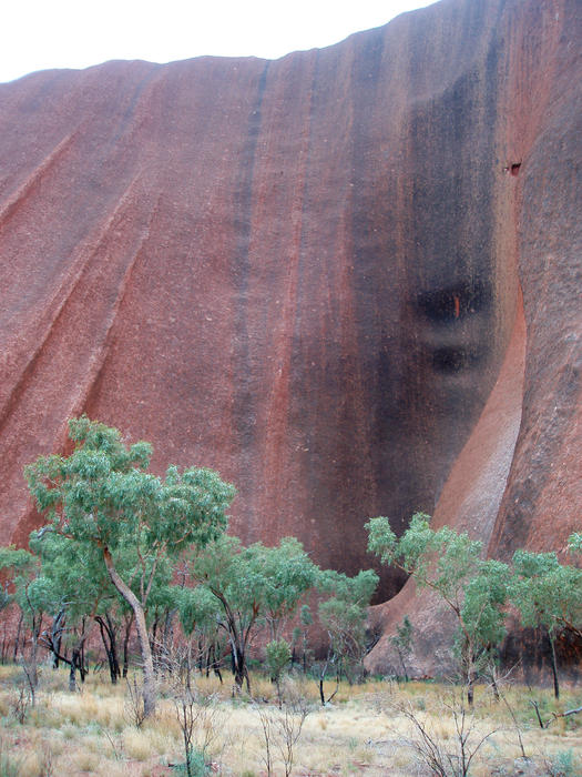 smooth weathered rockface on the side of uluru (ayres rock)