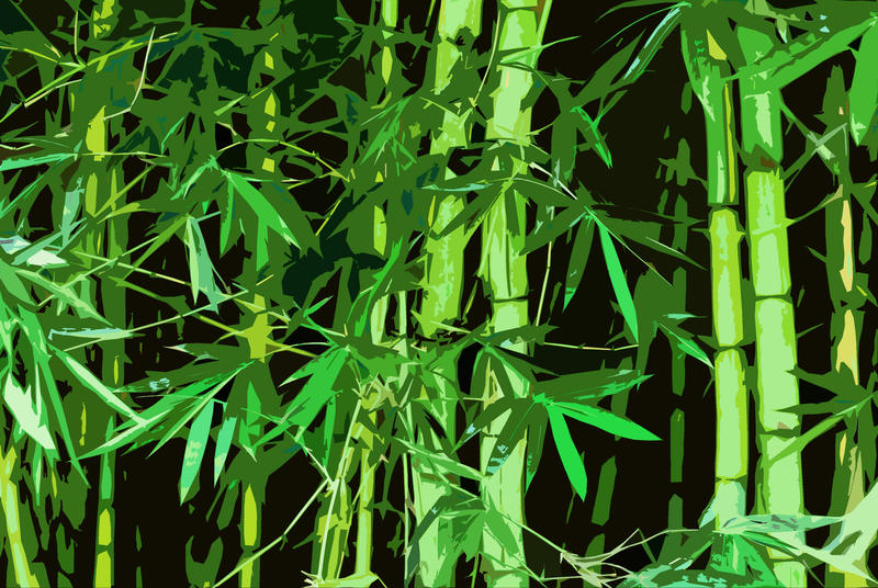 a bamboo illustrated effect background
