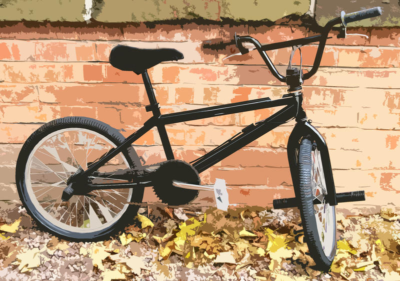 a black bmx bike