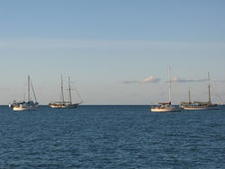 3401-various sailboats