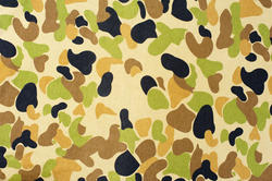 3901-camouflage pattern