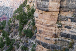 3143-canyon ciffs