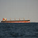 3311-bulk carrier