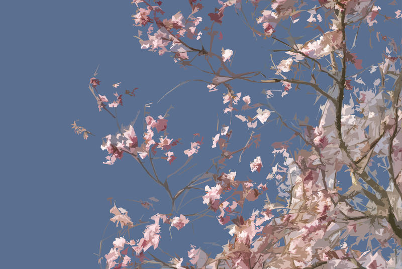 3004-graphic cherry blossom