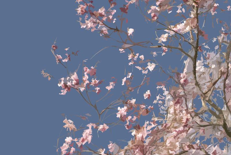 cherry blossom against a bue sky illustrated effect background