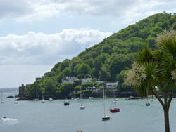 4190-dart_estuary.jpg