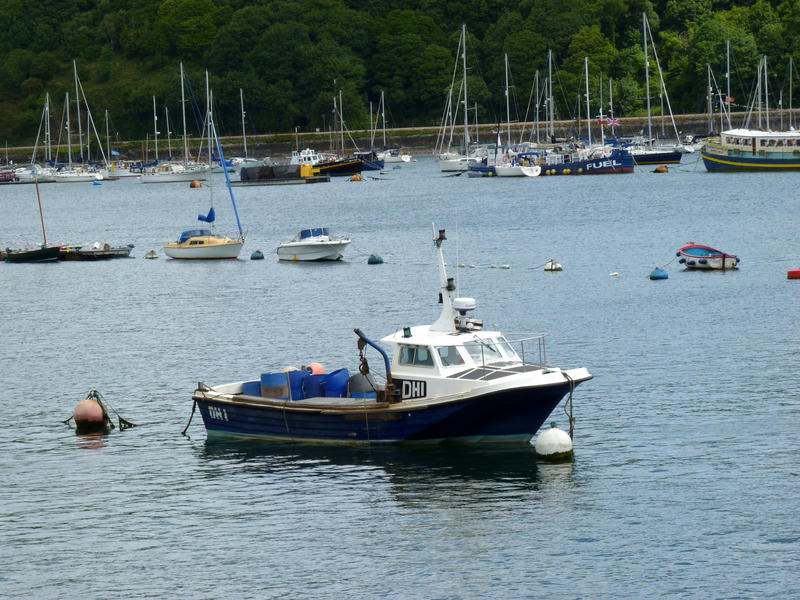 <p> Boats moored at Dartmouth</p>