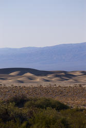 3054-Death Valley Dunes