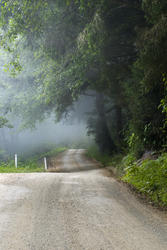 3100-dirt_road.jpg