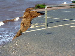 3842-dorset_coastal_erosion.JPG