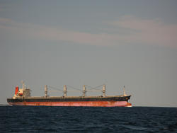 3312-bulk freighter
