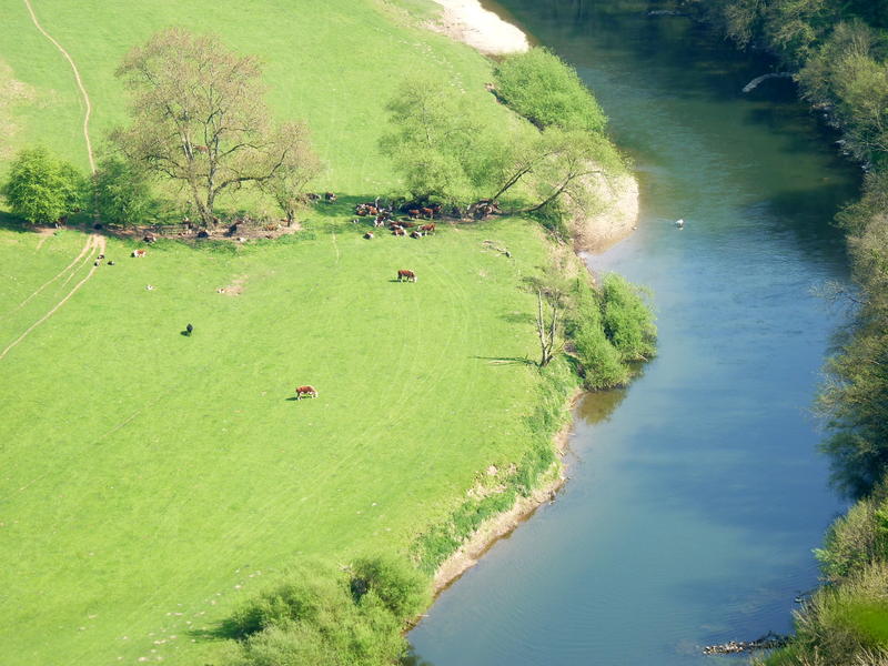 <p> Pastural England, fields with cattle and a meandering river.Jpg.</p>