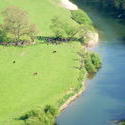 4123-english_riverbank.jpg
