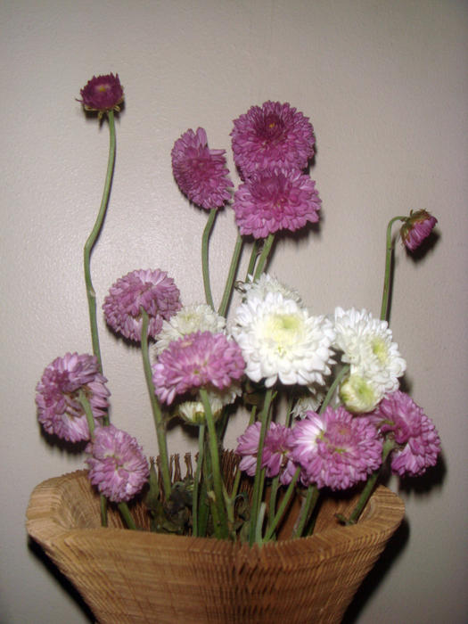 <p>&nbsp;flowers in a paper artwork vase</p>                               