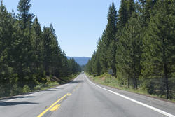 3123-forest highway