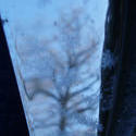 3426-tree reflection