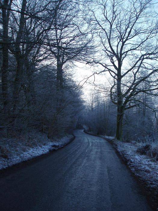 a rural lane on a frosty winter day