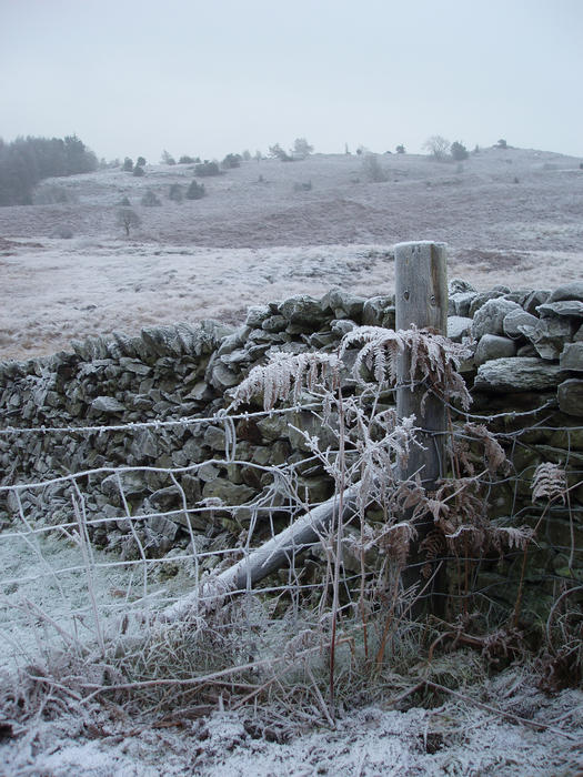  a wire fence, stone wall and frozen common