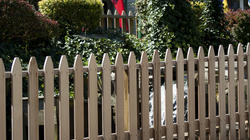 4262   Garden 1