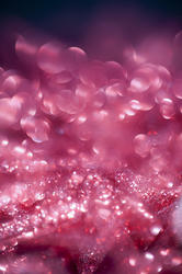 3613-pink glitter