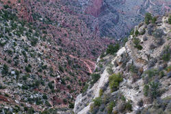 3162-grand canyon walking trails