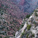 3162-grand canyon walking trails