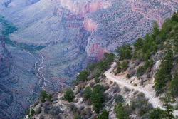 3176-grand canyon walking track