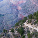 3176-grand canyon walking track