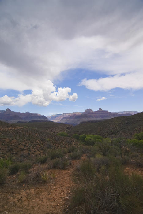 desert scenery on an walking trail through the grand canyon